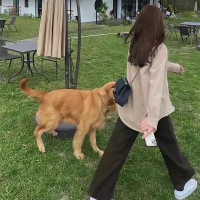 闪烁背后的故事封面